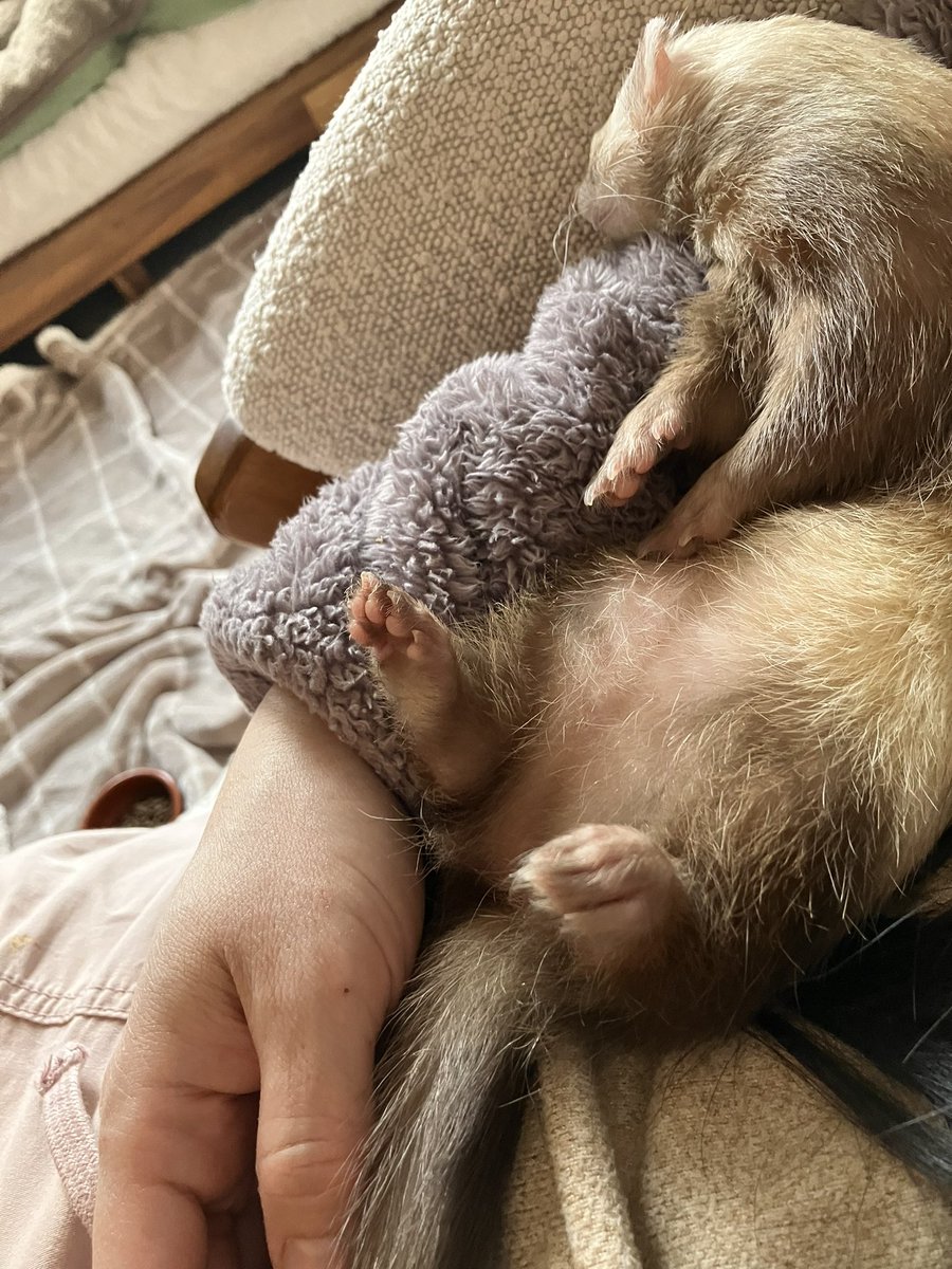 CaliCeri tweet media