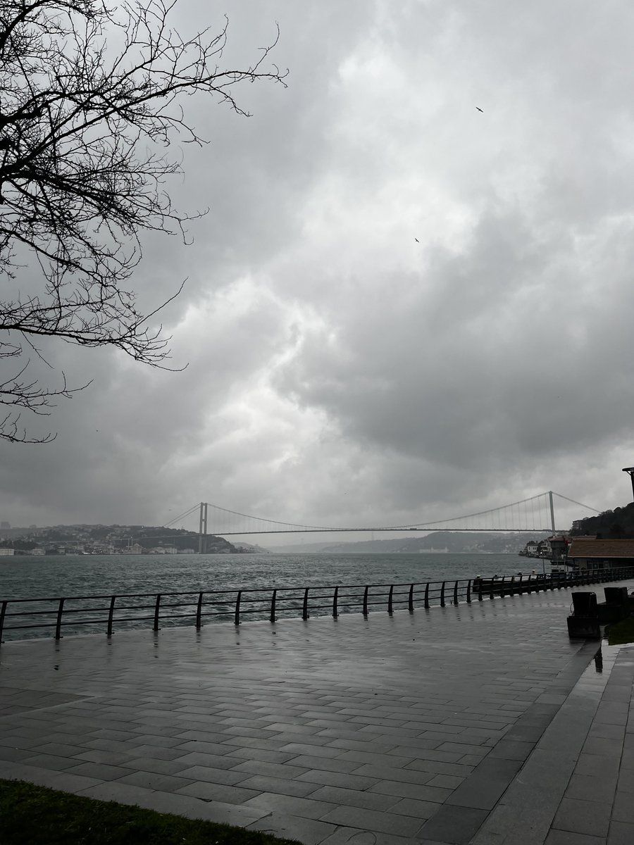 melss borisov ☆ tweet media