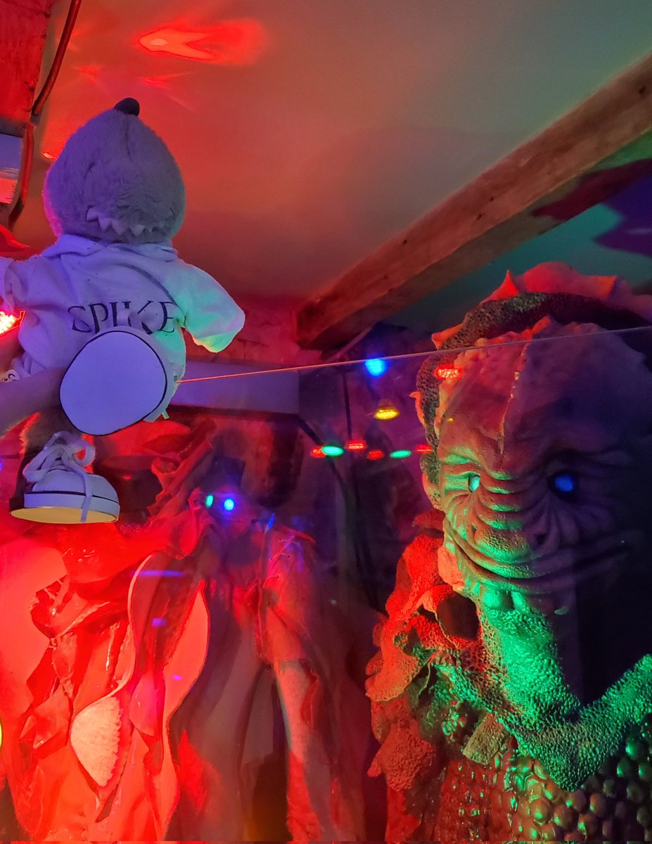 Dino the wee green dude tweet media