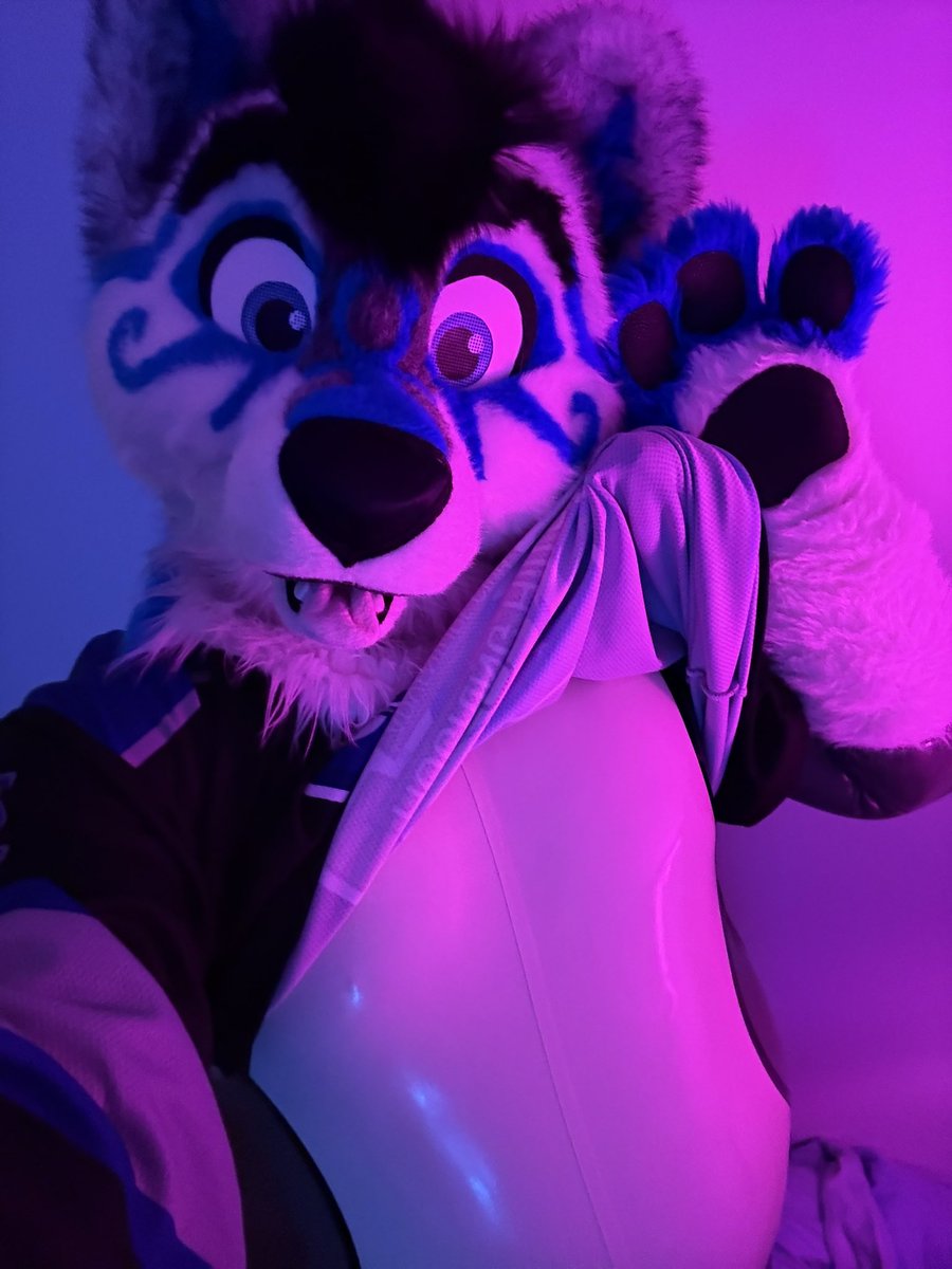 Whatcha hiding there mister husky? 🖤🩶🤍