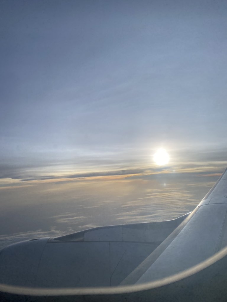 ange ➿ tweet media