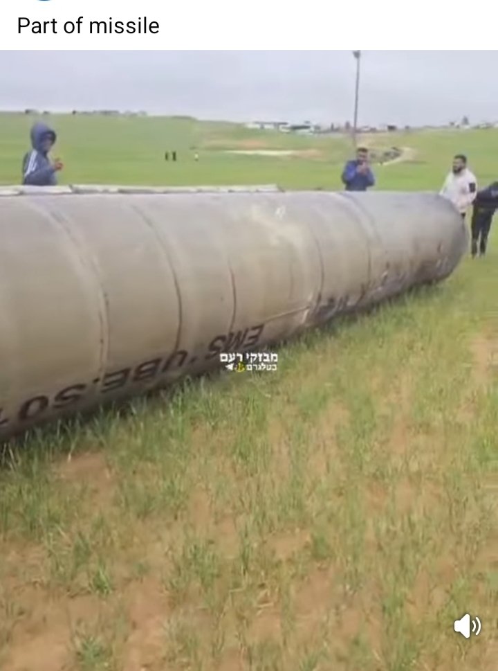 P.mayberrie tweet media