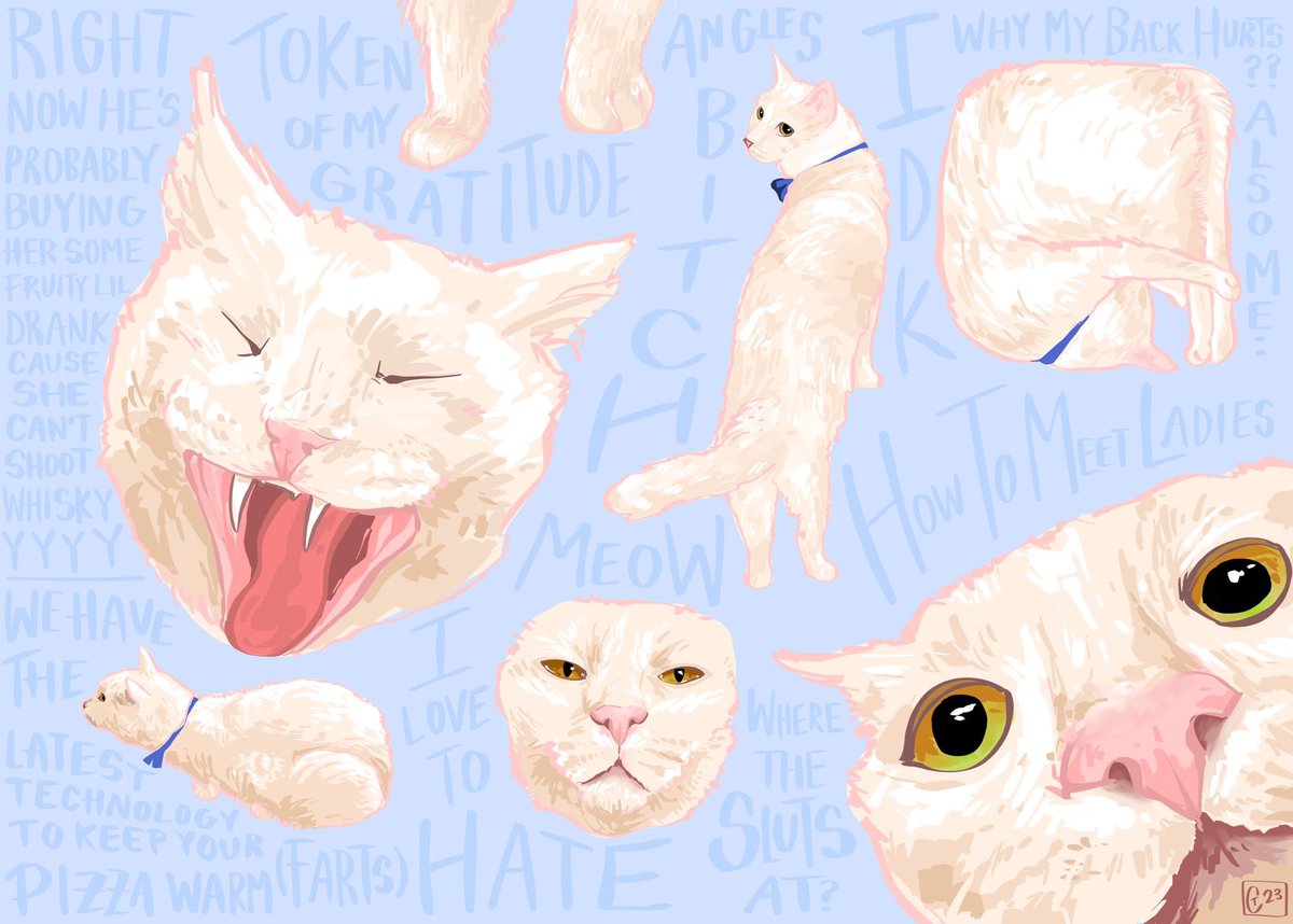 Paul Blart tweet media