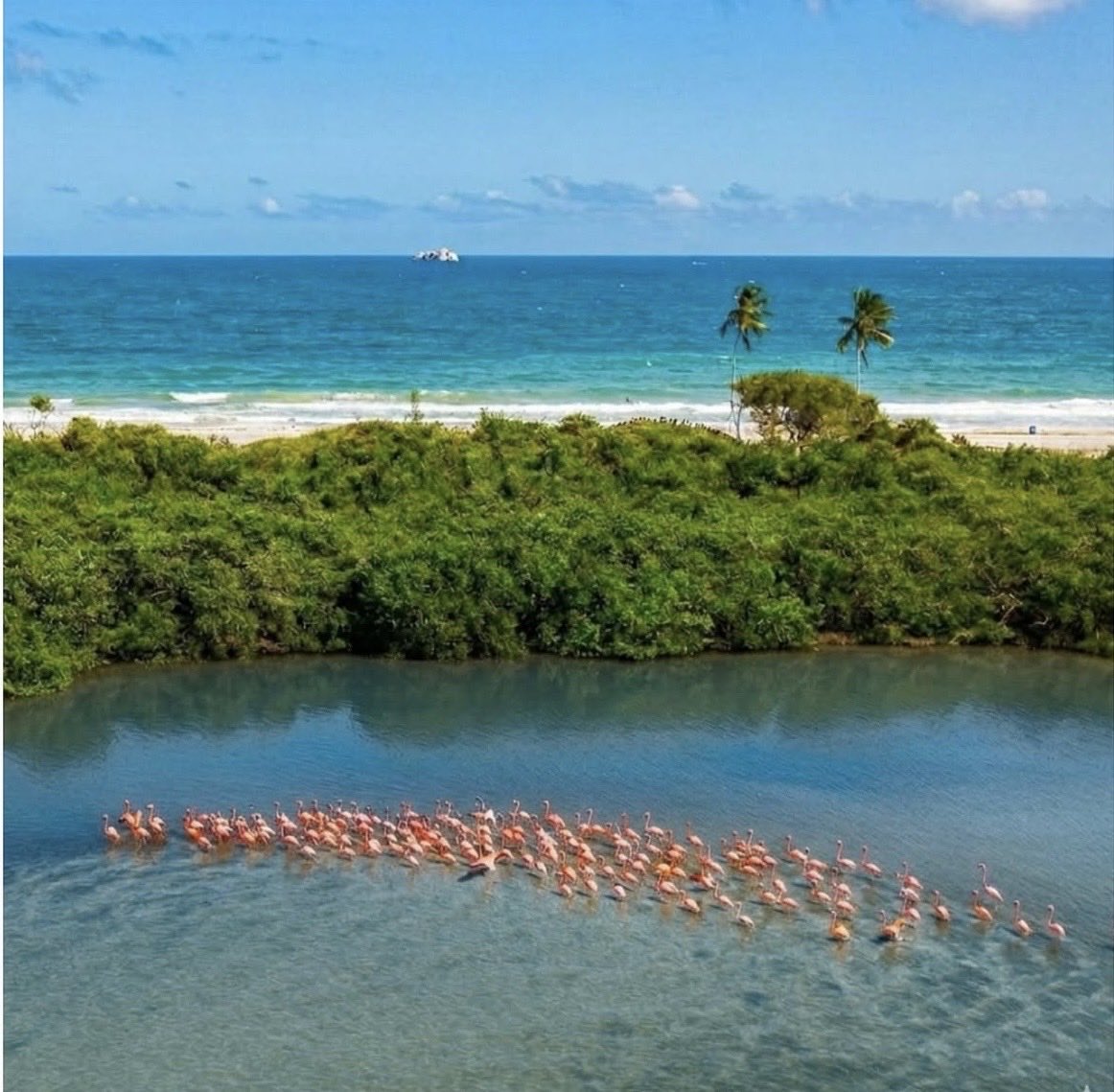 Martha Jean tweet media