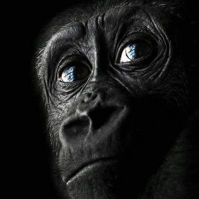 NDASSA POT ๐ ๐น๐ฟ tweet media