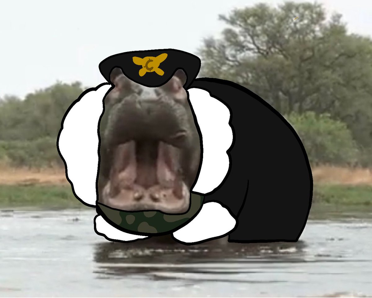 RAWR ITS FERGUS RUN 

#robloxpiggy