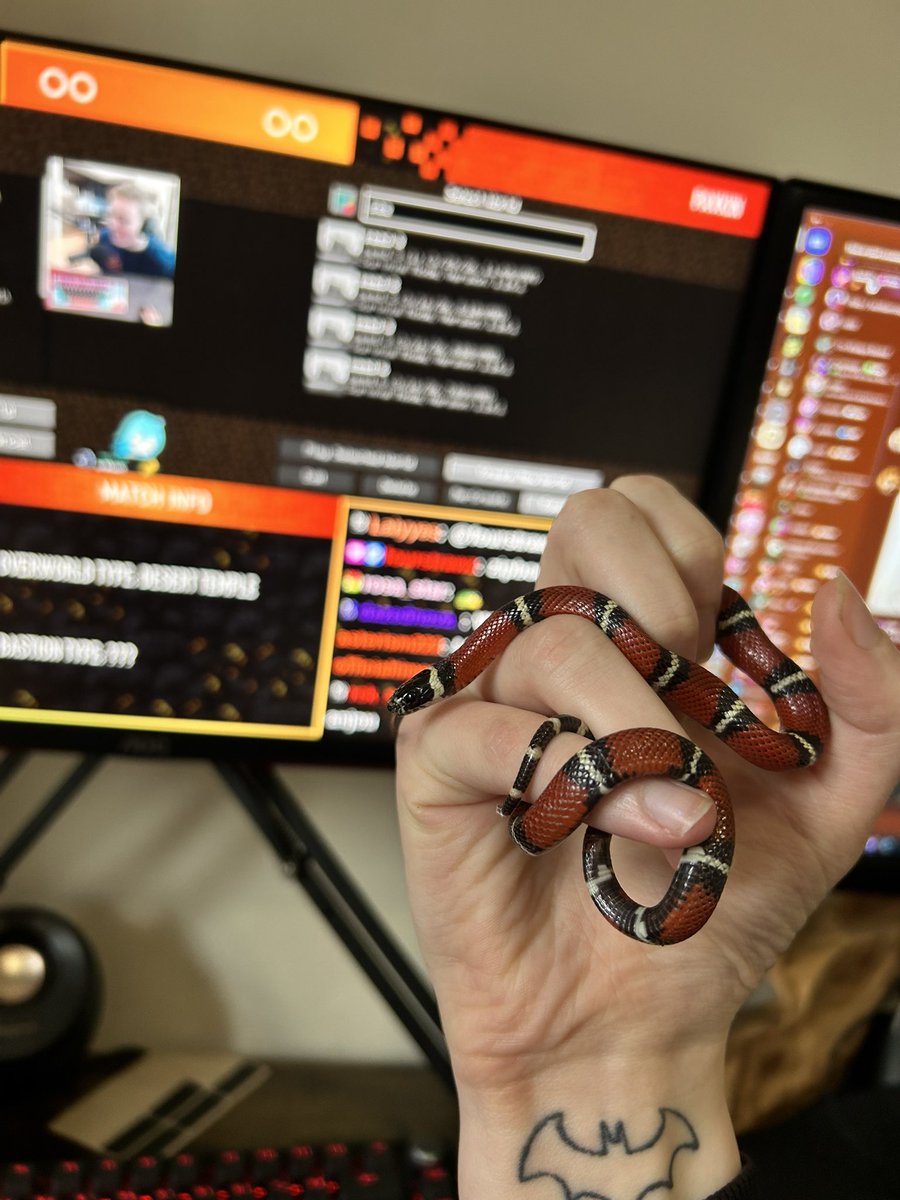 Sivianox tweet media