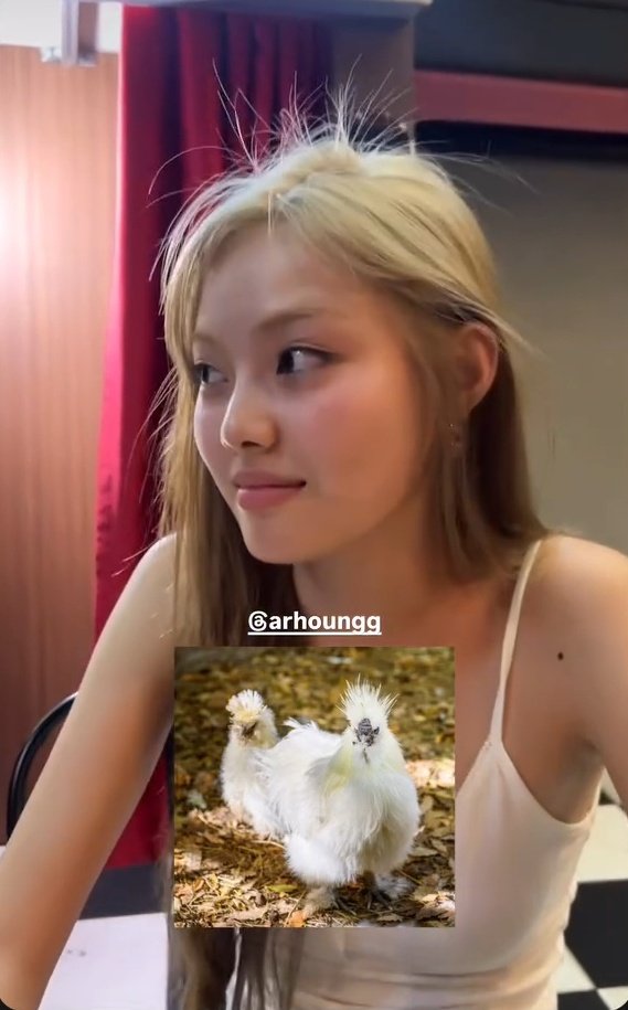 pluto station tweet media