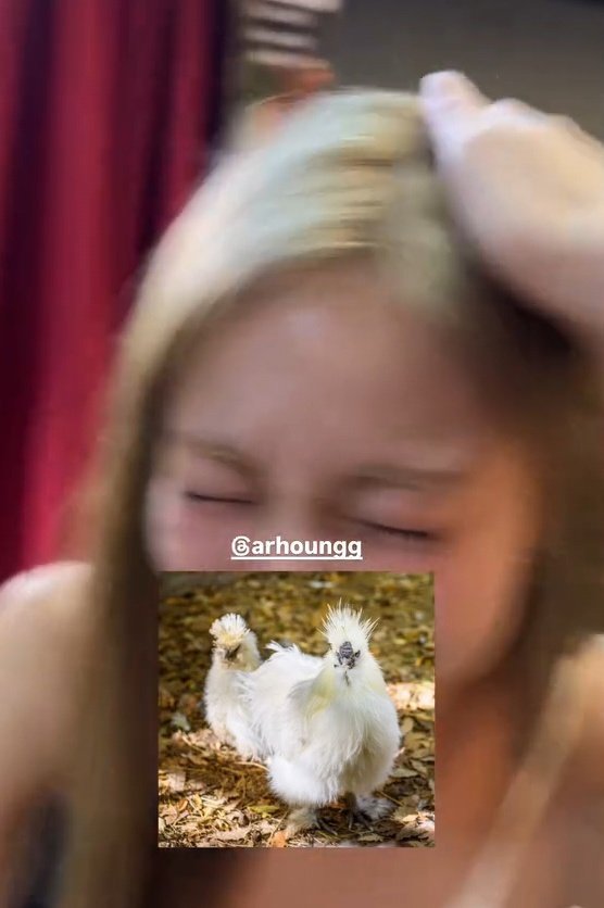 pluto station tweet media