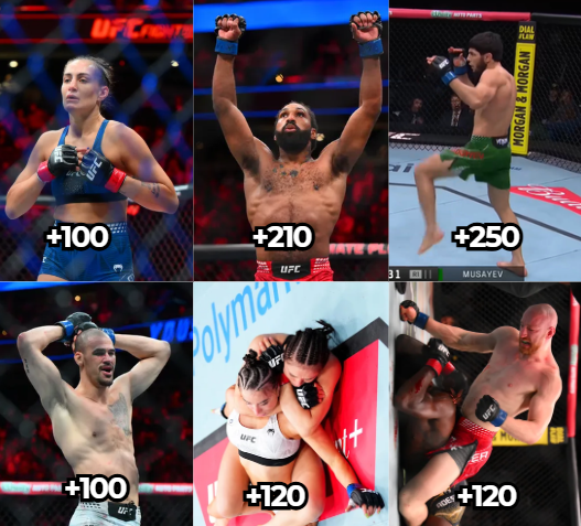 Finz Chats MMA tweet media