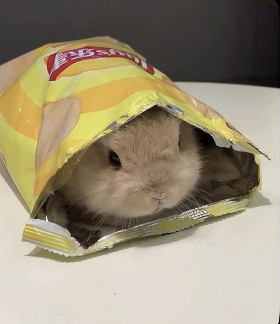 SEND MFS BACA LINK YA GES!! tweet media