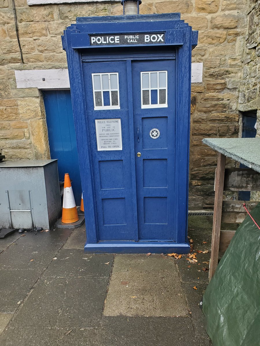 Dino the wee green dude tweet media