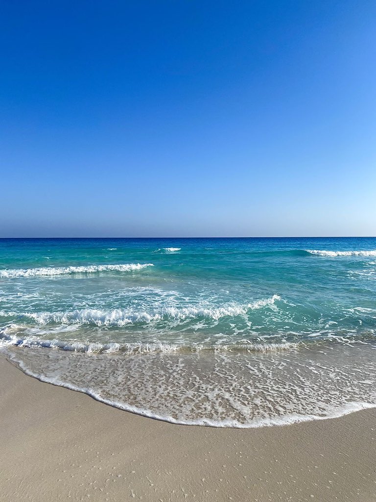 Aesthetics tweet media