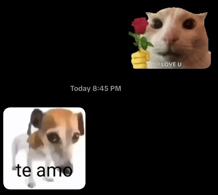 inikavin tweet media