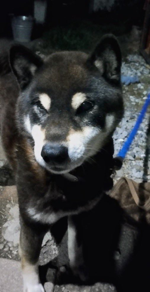 ヤスヒロ tweet media