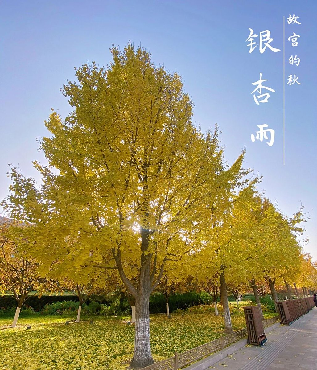 ken anderson tweet media