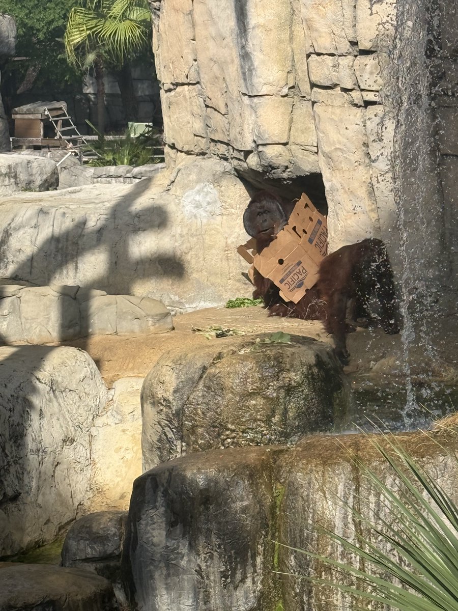 Bob 🎲🌴 tweet media