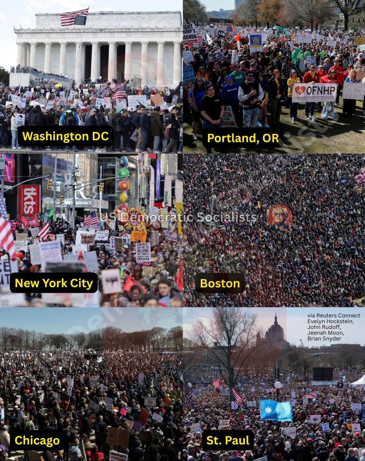 SonPolemicas tweet media