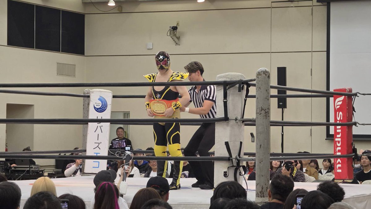 スペルデルフィン tweet media