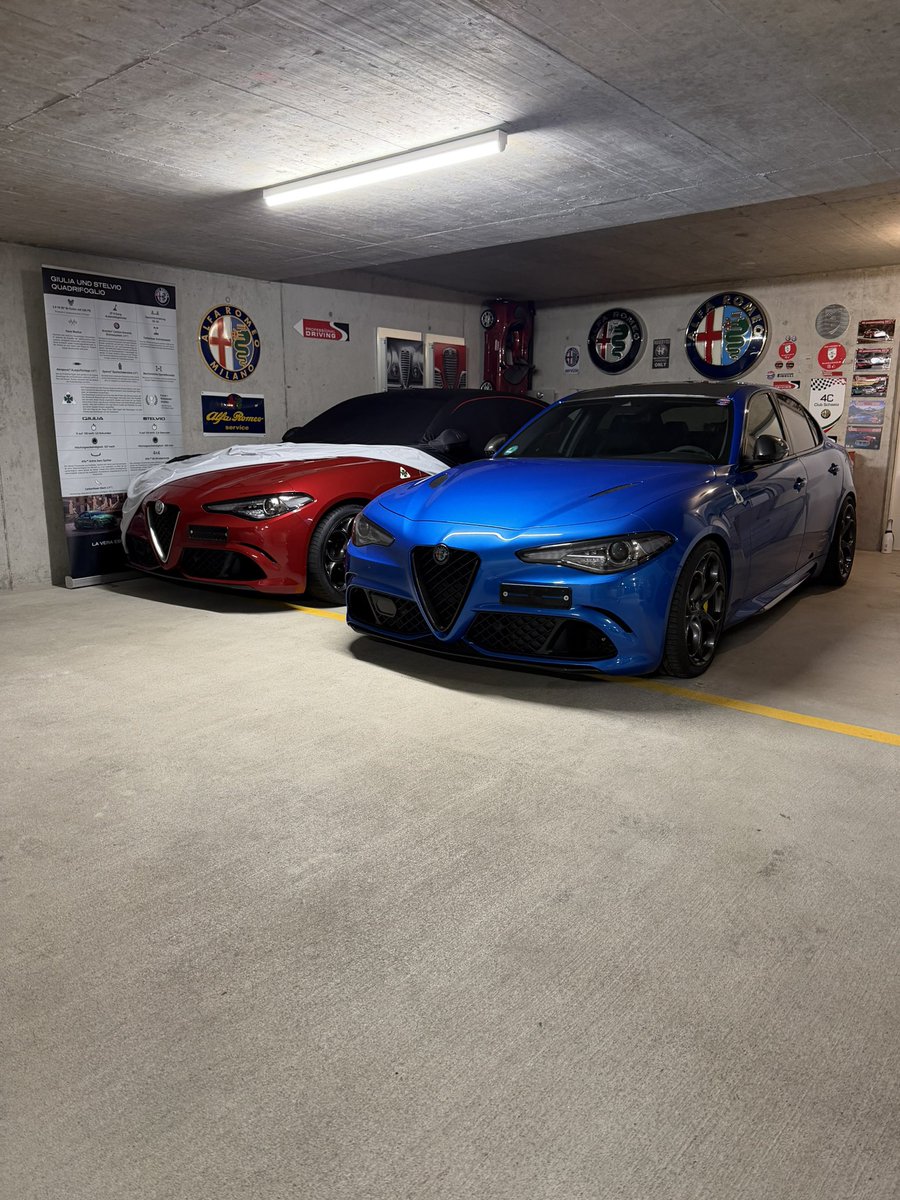 alfistivirus's tweet image. A Sporty Spring ❤️💙🩶                                                #our #qv #collection