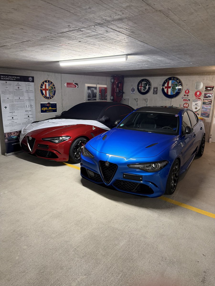 alfistivirus's tweet image. A Sporty Spring ❤️💙🩶                                                #our #qv #collection