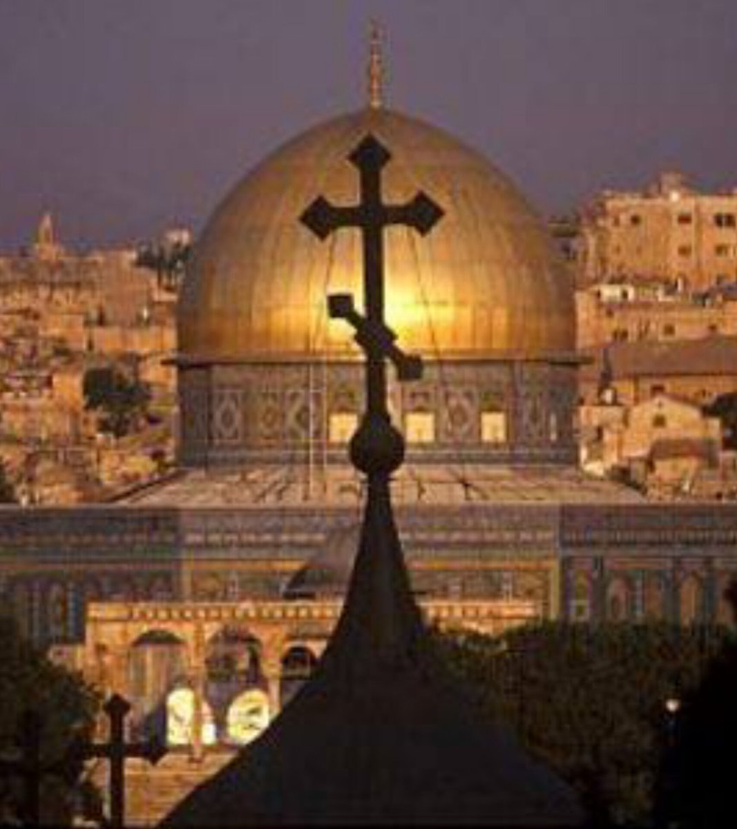 Vinicios Betiol tweet media