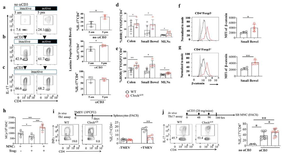 Waggoner Lab tweet media