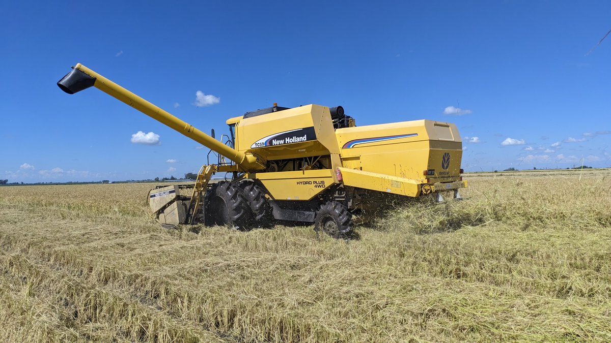 Franco Befart tweet media