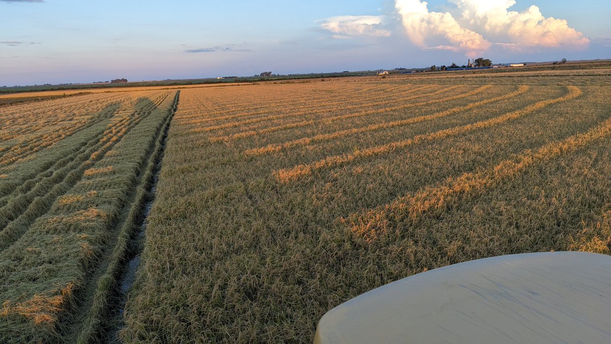 Franco Befart tweet media