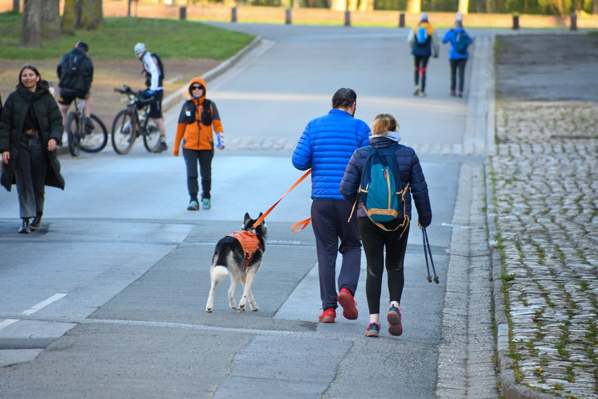 Ville d'Arras tweet media