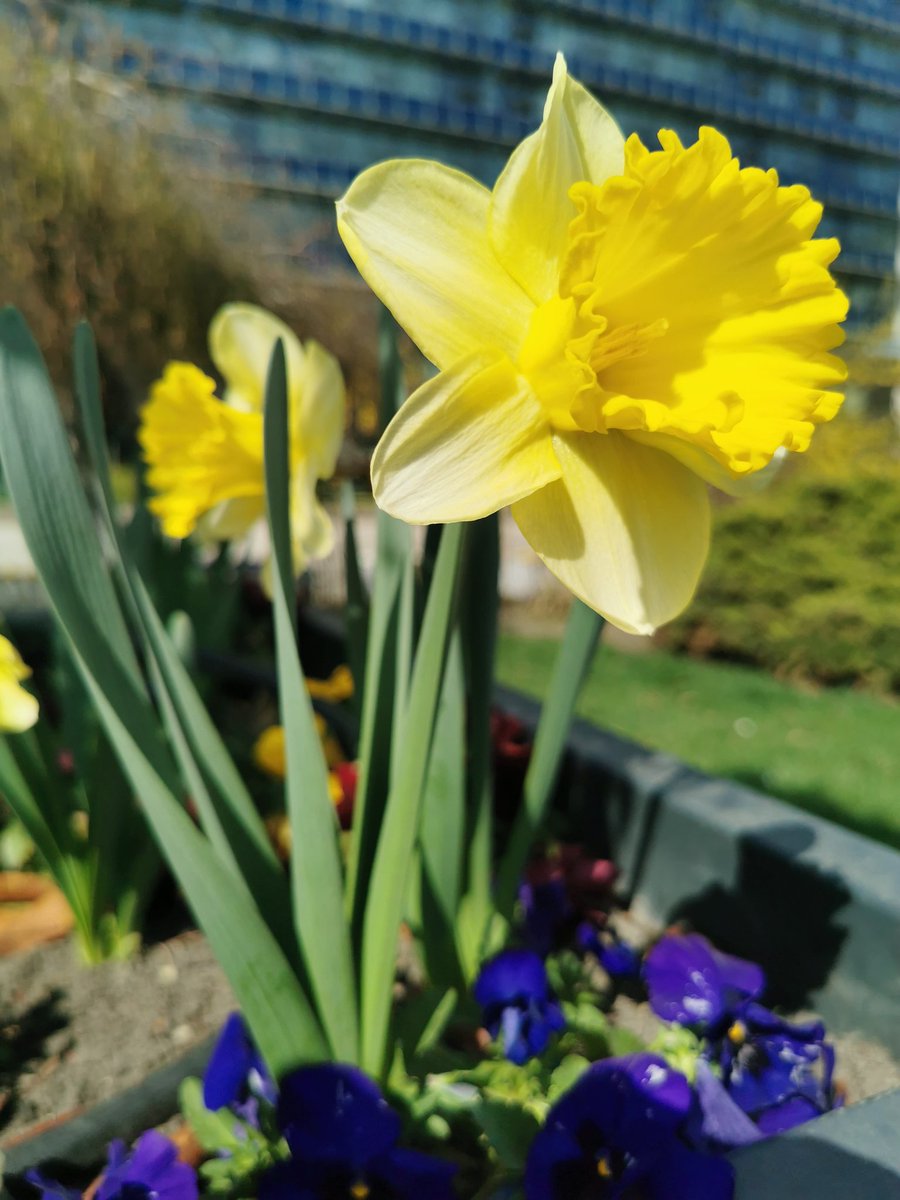 Polyak E tweet media