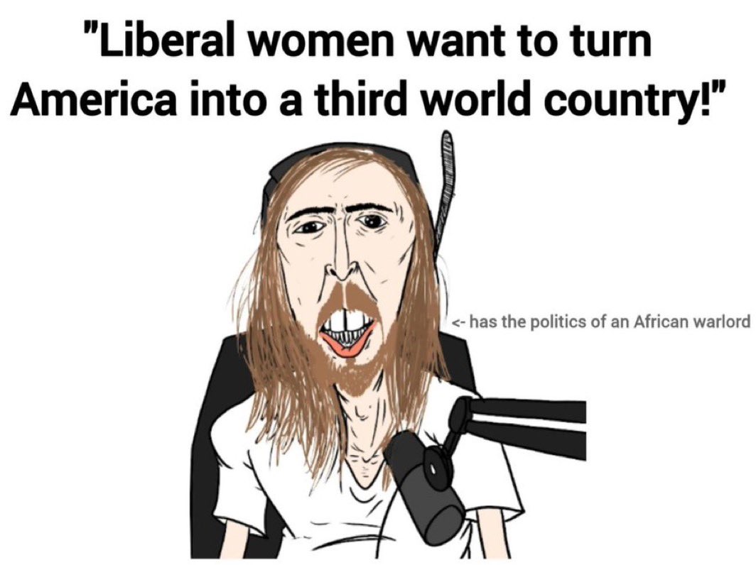 Sarah Stock's Benadryl Clouded Judgement Groyper tweet media