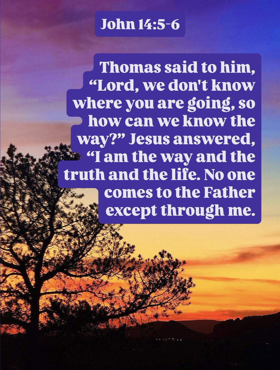 𝙲𝚘𝚞𝚛𝚝𝚗𝚎𝚢 𝙺𝚗𝚒𝚕𝚕 tweet media