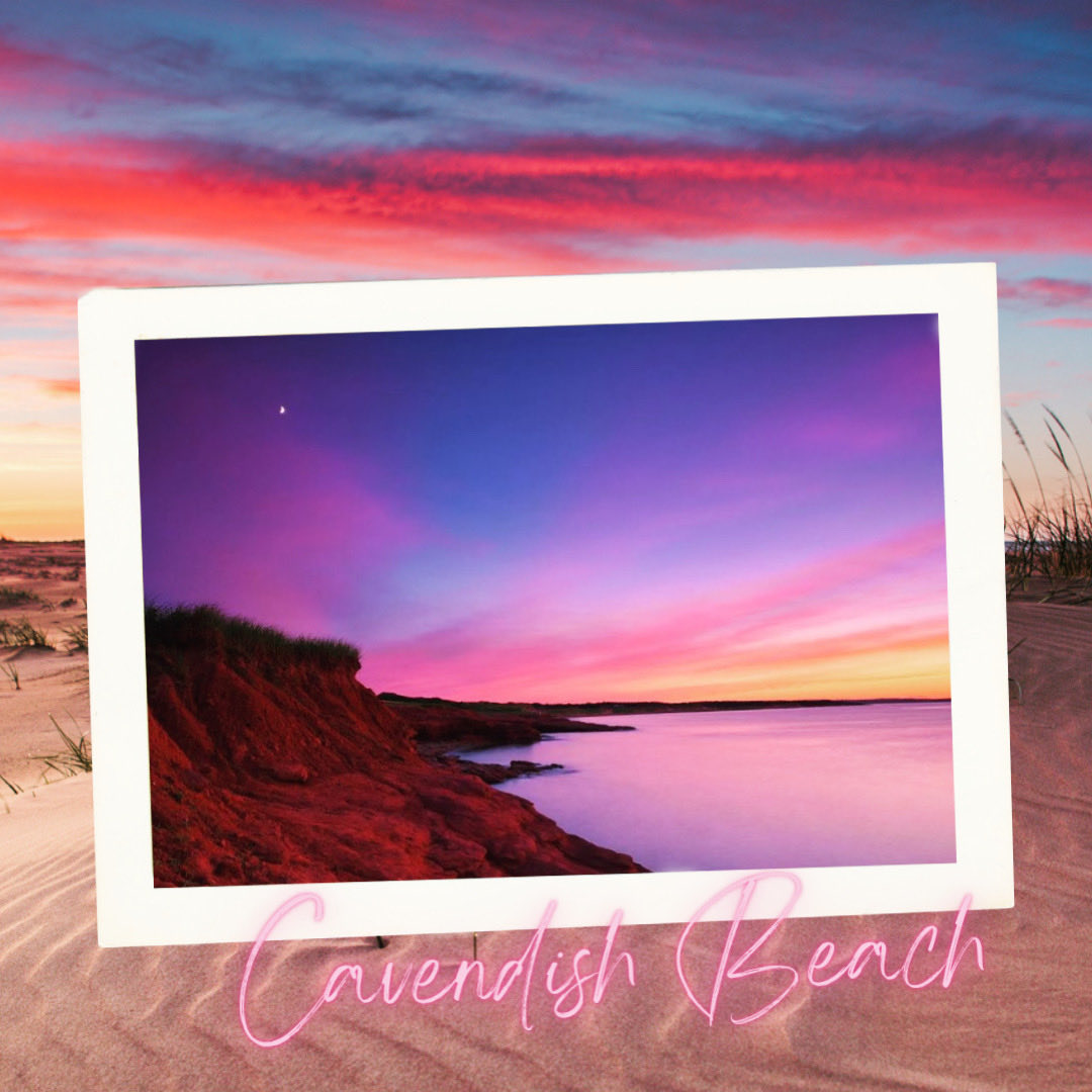 peicapstone2026's tweet photo. Crimson cliffs, golden sands, and the ocean breathing endlessly 🌊☀️🐚🩷
Cavendish Beach is where PEI’s red earth meets the sea.

Save this for your next island escape &amp; tag who you’re bringing to see these views 🤍🏖️♥️

#CavendishBeach
#PEI
#RedSand
#EastCoastVibes
#HOST4103 https://t.co/YweDrBl2V8