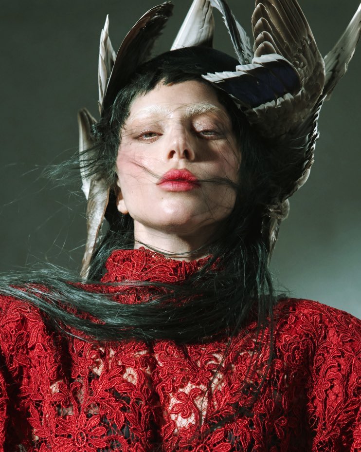 Info Lady Gaga tweet media