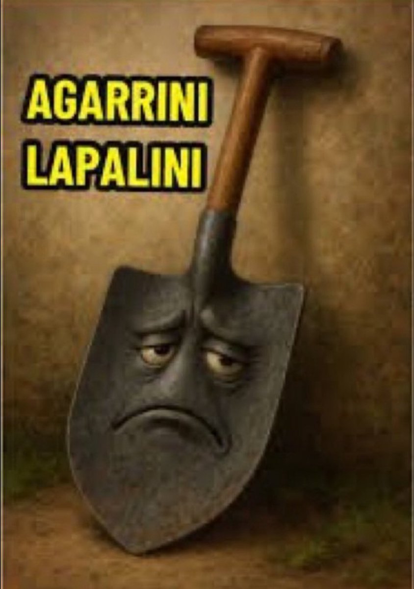 Bolt-Zon tweet media