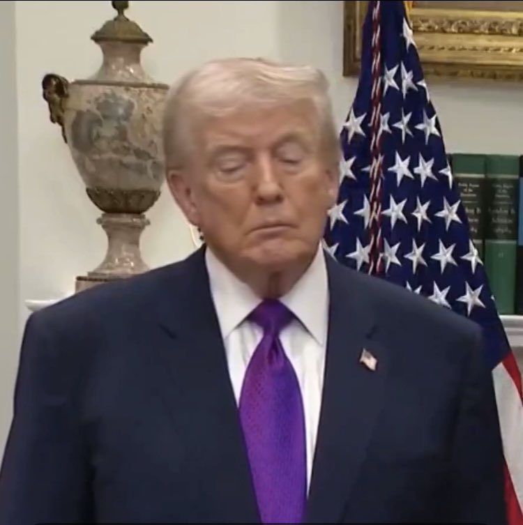 Just Brad tweet media