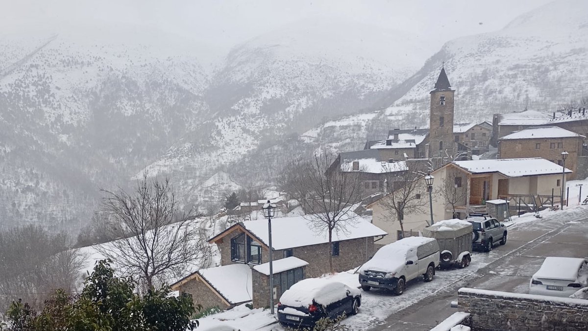 Xavier Coll tweet media