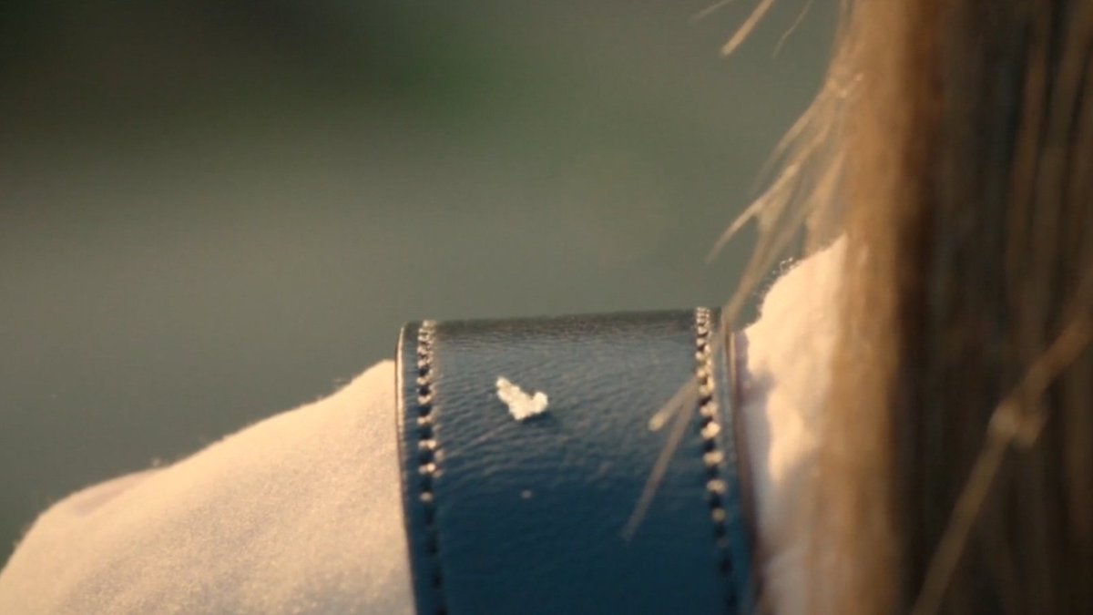 flawmirror tweet media