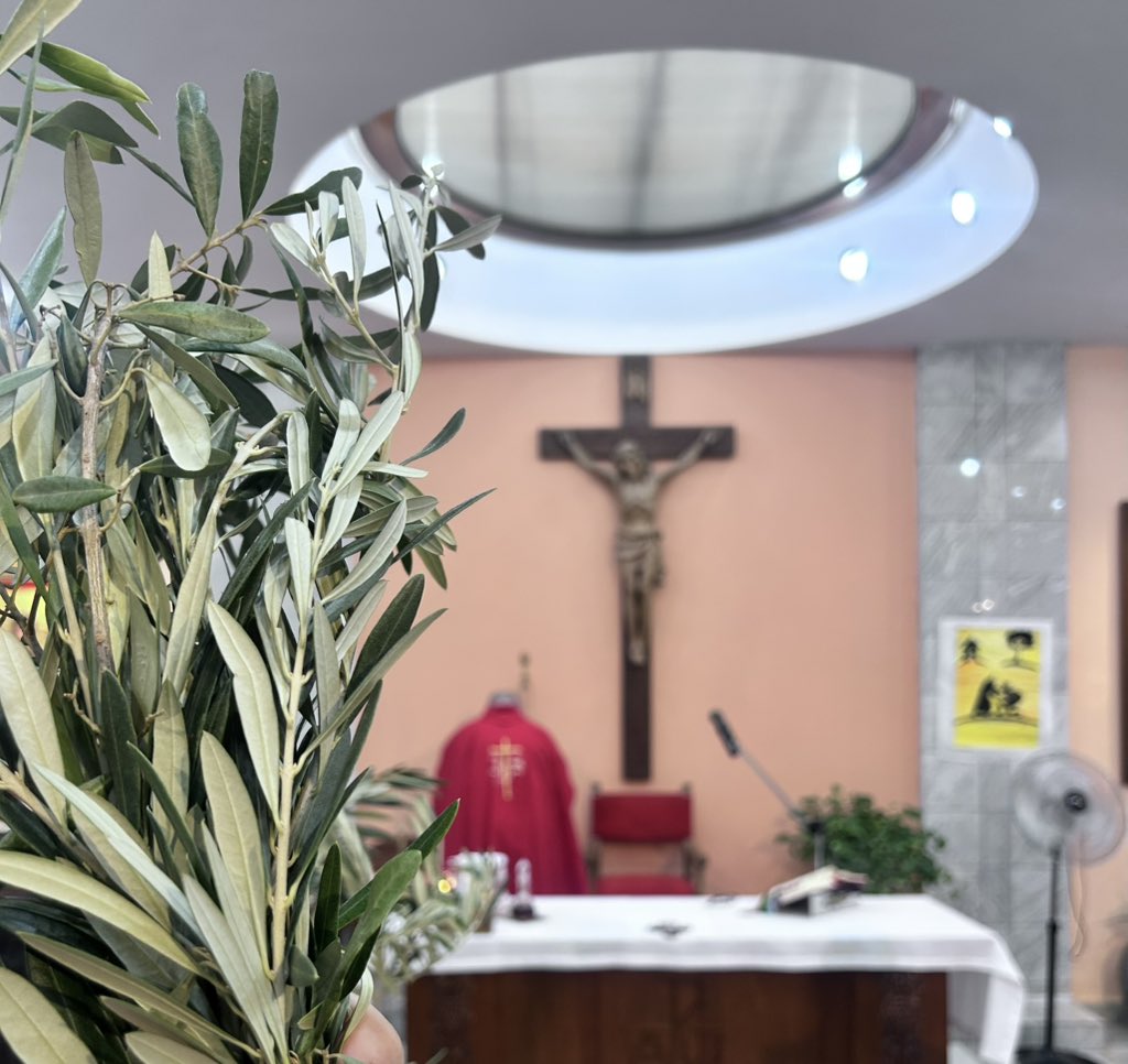 Hoy recordamos la entrada triunfal de Jesús en Jerusalén, aclamado por una multitud que lo recibía con palmas y esperanza… sin saber que ese mismo camino lo llevaría a la cruz.

Hoy comienza la Semana Santa.
La semana donde el amor se vuelve entrega, el dolor se vuelve redención