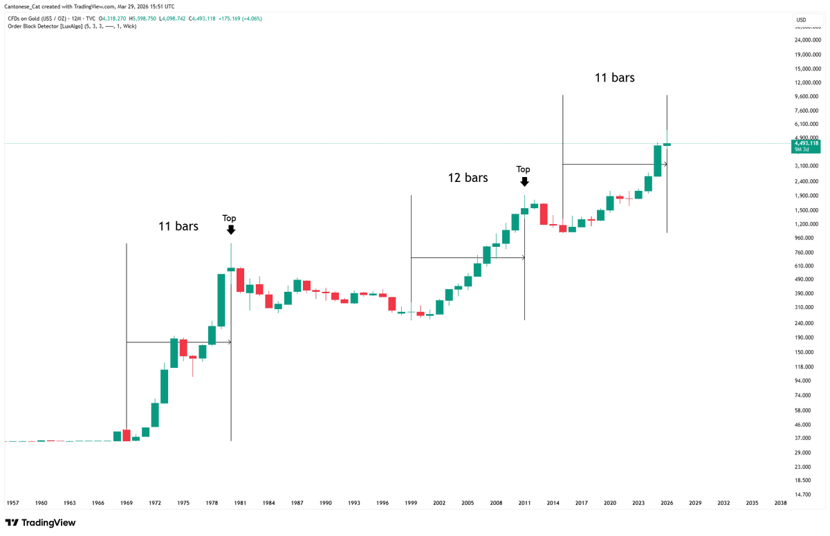 Cantonese Cat 🐱🐈 tweet media