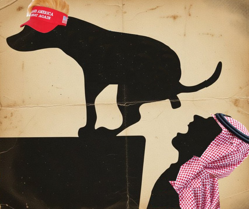 Chaig ☘️ tweet media