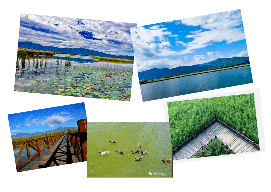 Jitendra bairwa tweet media