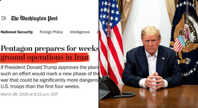 Whale Factor tweet media