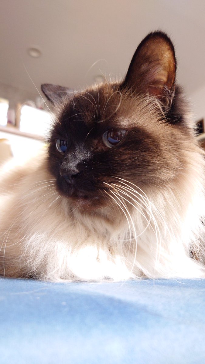 ∠ウヅキナナオ tweet media