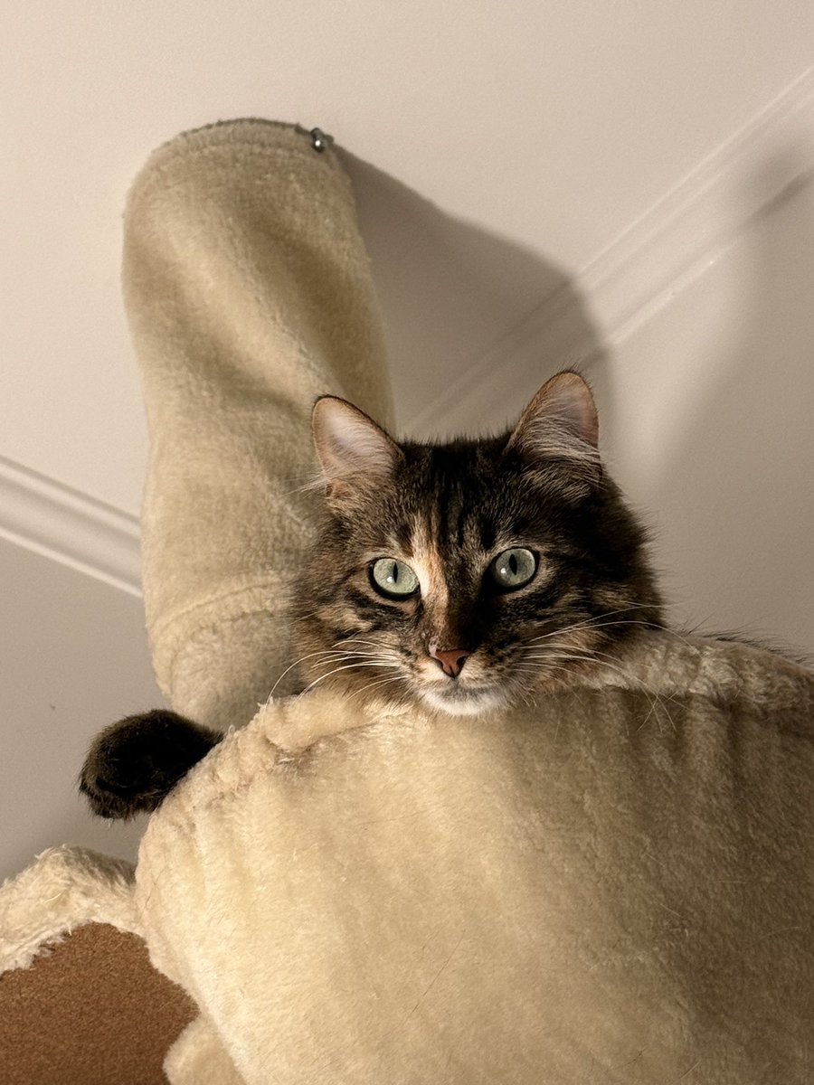 Jérémy. 🫧 tweet media