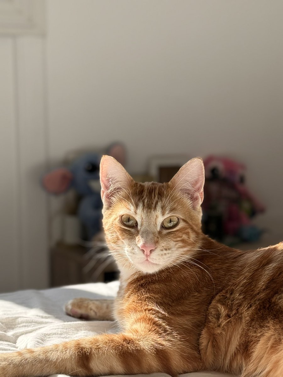 Jérémy. 🫧 tweet media