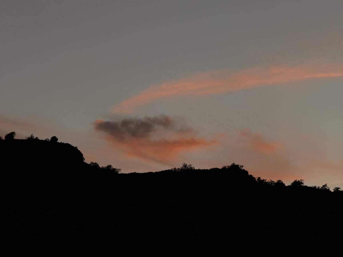 apricity tweet media