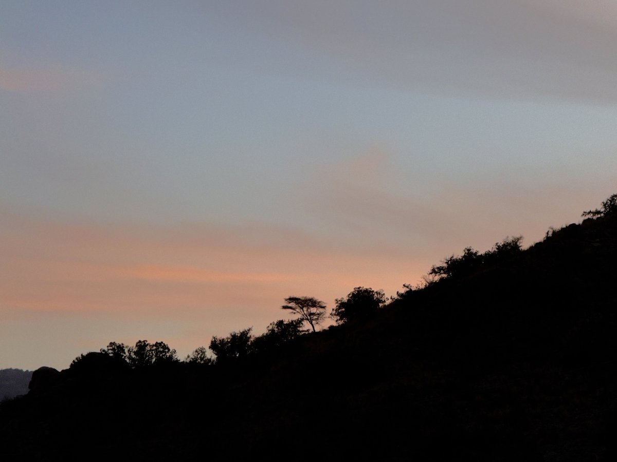 apricity tweet media