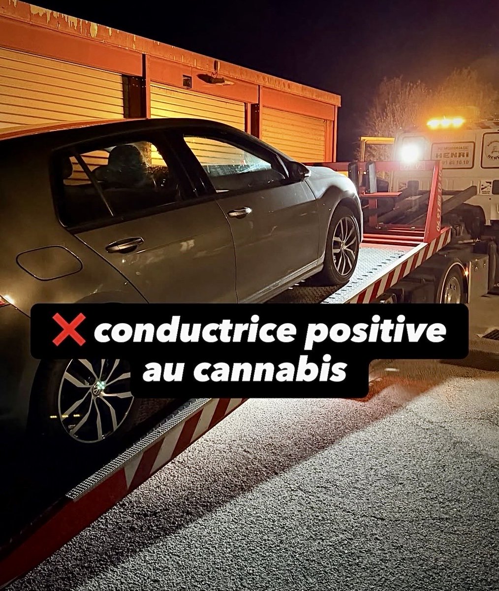 Free Bird tweet media